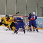 , Campeonato del Mundo Hockey Hielo Femenino, Jaca 2016, Real Federación Española Deportes de Hielo