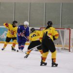 , Campeonato del Mundo Hockey Hielo Femenino, Jaca 2016, Real Federación Española Deportes de Hielo