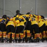 , Campeonato del Mundo Hockey Hielo Femenino, Jaca 2016, Real Federación Española Deportes de Hielo