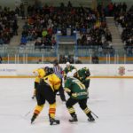 , Campeonato del Mundo Hockey Hielo Femenino, Jaca 2016, Real Federación Española Deportes de Hielo