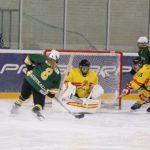 , Campeonato del Mundo Hockey Hielo Femenino, Jaca 2016, Real Federación Española Deportes de Hielo