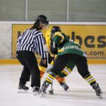 , Campeonato del Mundo Hockey Hielo Femenino, Jaca 2016, Real Federación Española Deportes de Hielo