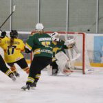 , Campeonato del Mundo Hockey Hielo Femenino, Jaca 2016, Real Federación Española Deportes de Hielo