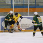 , Campeonato del Mundo Hockey Hielo Femenino, Jaca 2016, Real Federación Española Deportes de Hielo