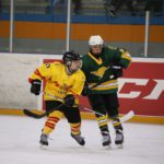 , Campeonato del Mundo Hockey Hielo Femenino, Jaca 2016, Real Federación Española Deportes de Hielo