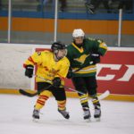 , Campeonato del Mundo Hockey Hielo Femenino, Jaca 2016, Real Federación Española Deportes de Hielo