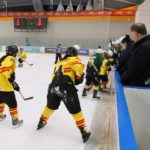 , Campeonato del Mundo Hockey Hielo Femenino, Jaca 2016, Real Federación Española Deportes de Hielo