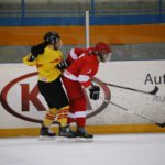 , Campeonato del Mundo Hockey Hielo Femenino, Jaca 2016, Real Federación Española Deportes de Hielo