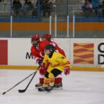 , Campeonato del Mundo Hockey Hielo Femenino, Jaca 2016, Real Federación Española Deportes de Hielo