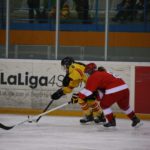 , Campeonato del Mundo Hockey Hielo Femenino, Jaca 2016, Real Federación Española Deportes de Hielo