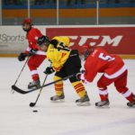 , Campeonato del Mundo Hockey Hielo Femenino, Jaca 2016, Real Federación Española Deportes de Hielo