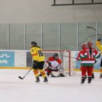 , Campeonato del Mundo Hockey Hielo Femenino, Jaca 2016, Real Federación Española Deportes de Hielo