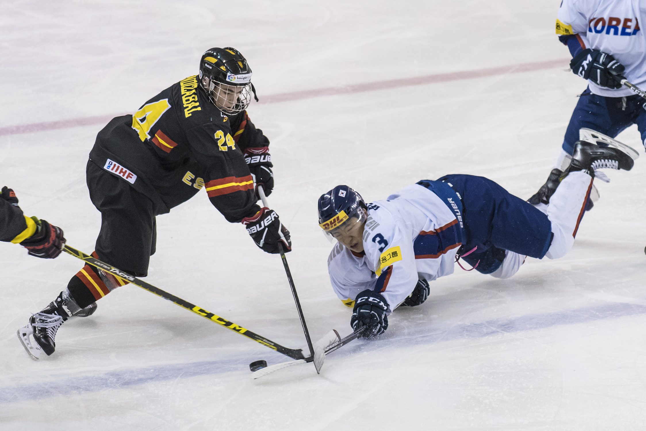 , Presentadas las sedes para los mundiales 2017-18 de Hockey Hielo, Real Federación Española Deportes de Hielo