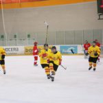 , Campeonato del Mundo Hockey Hielo Femenino, Jaca 2016, Real Federación Española Deportes de Hielo