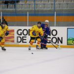 , Campeonato del Mundo Hockey Hielo Femenino, Jaca 2016, Real Federaci&oacute;n Espa&ntilde;ola Deportes de Hielo
