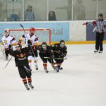, Campeonato del Mundo Hockey Hielo Absoluto, Jaca 2016, Real Federaci&oacute;n Espa&ntilde;ola Deportes de Hielo