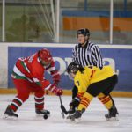 , Campeonato del Mundo Hockey Hielo Femenino, Jaca 2016, Real Federaci&oacute;n Espa&ntilde;ola Deportes de Hielo