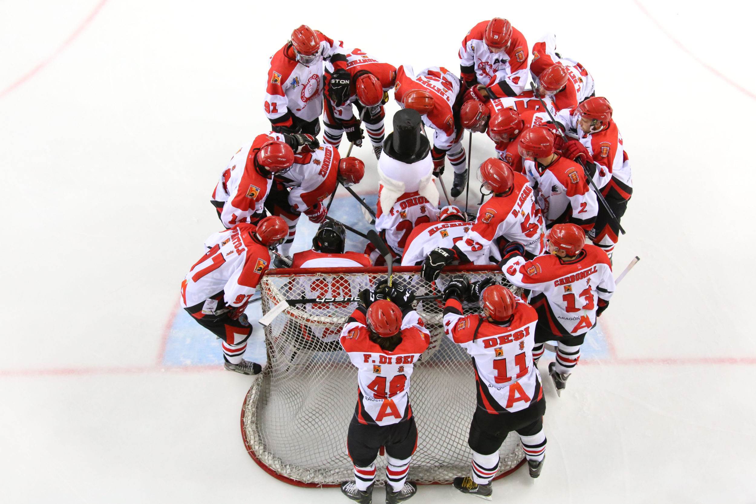 , Lucha por el liderato en la LNHH, Real Federación Española Deportes de Hielo