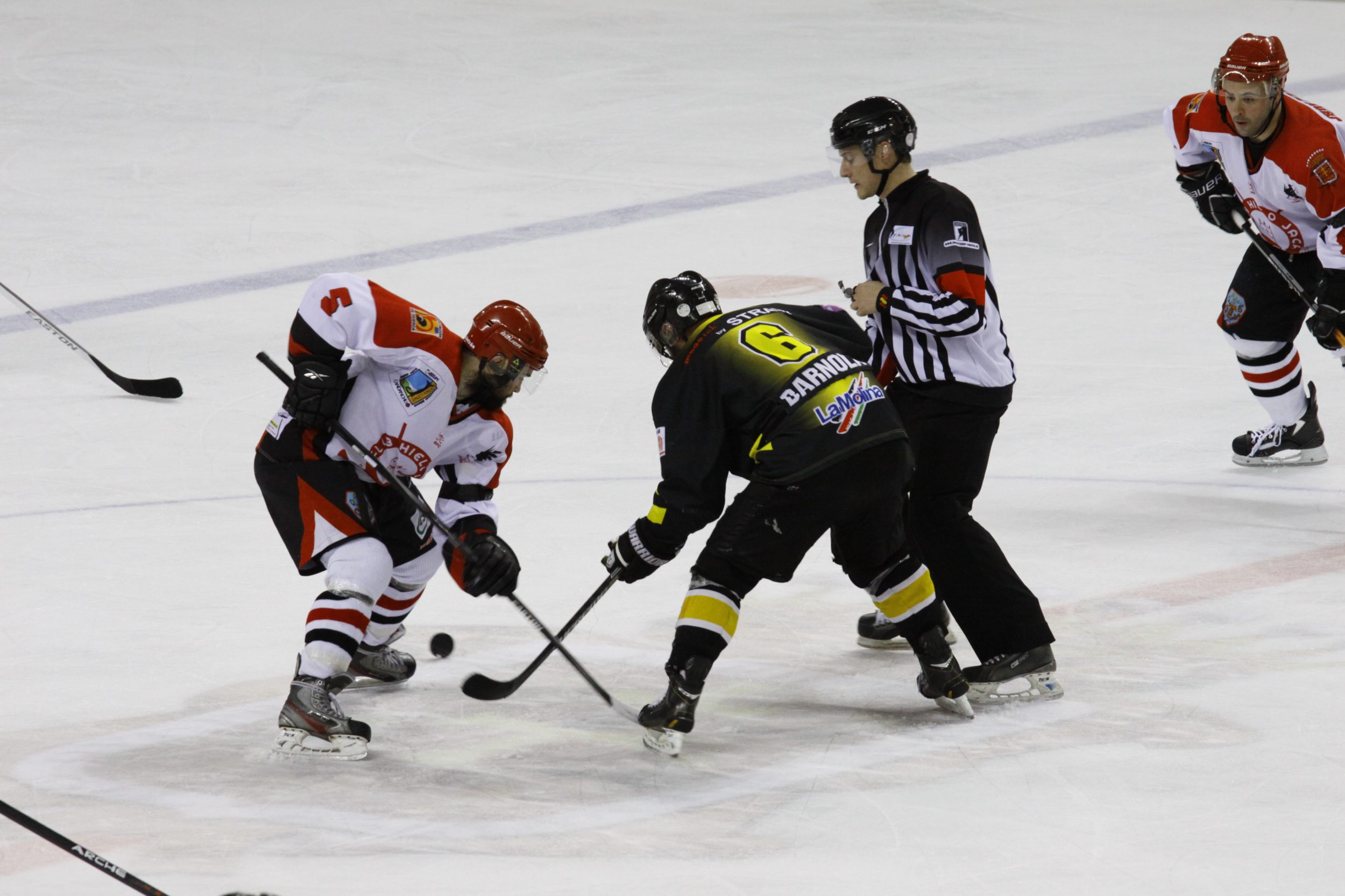 , Jornada decisiva en la LNHH, Real Federación Española Deportes de Hielo