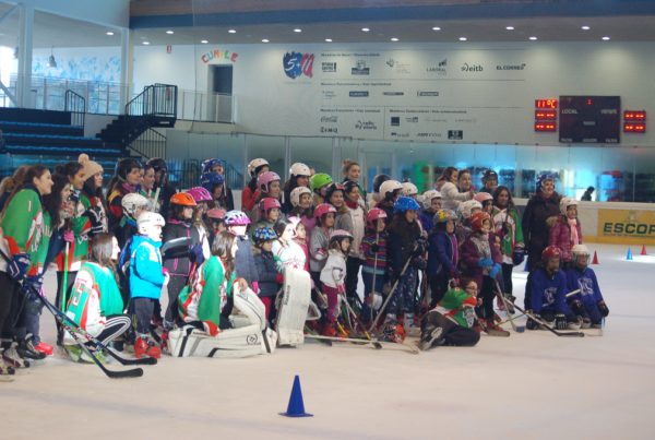 hemeroteca, Hemeroteca, Real Federación Española Deportes de Hielo