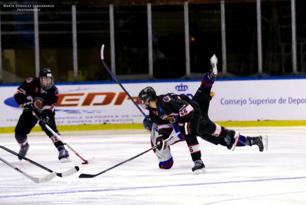 hemeroteca, Hemeroteca, Real Federación Española Deportes de Hielo