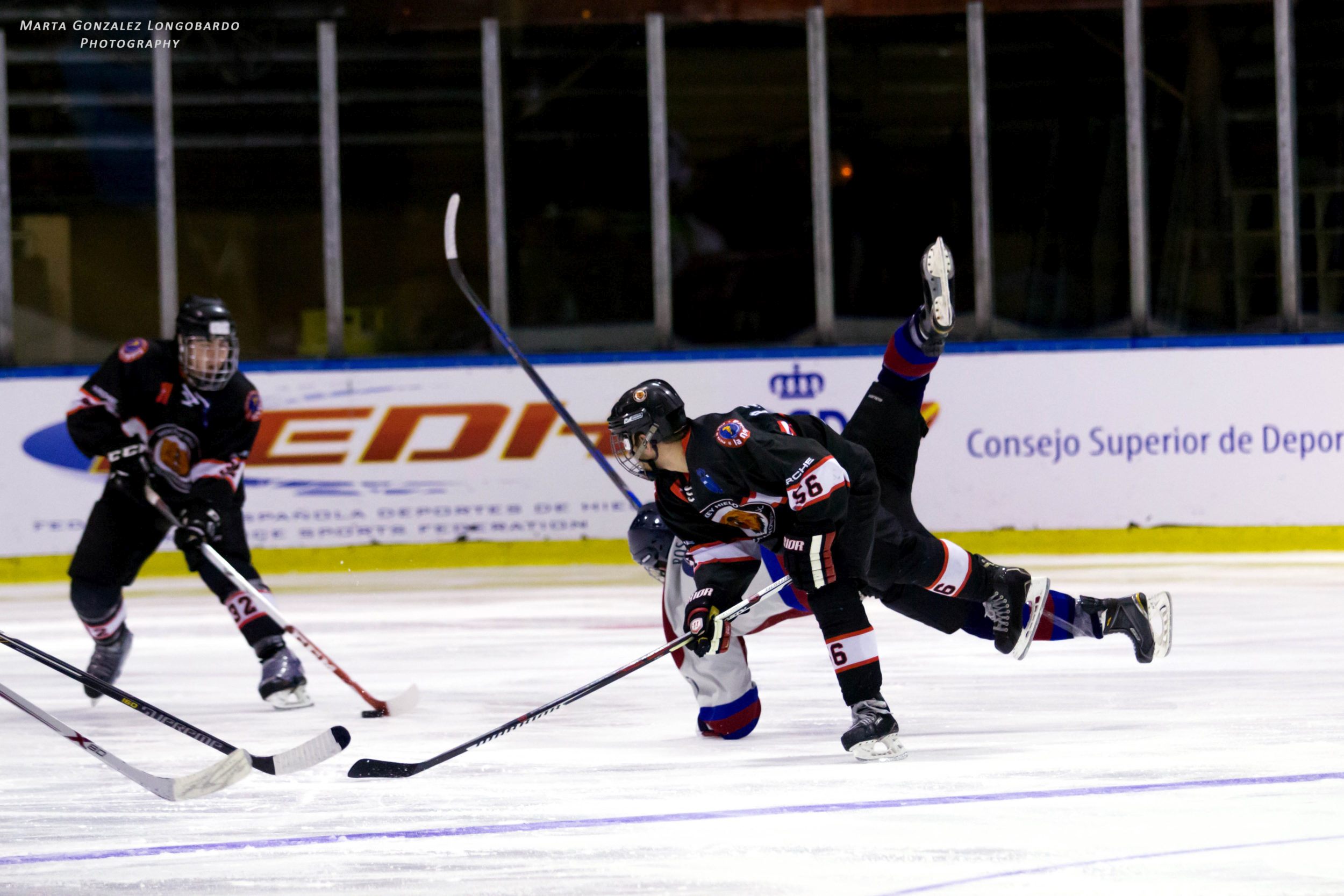 , Jornada decisiva en la Liga Nacional de Hockey Hielo, Real Federación Española Deportes de Hielo