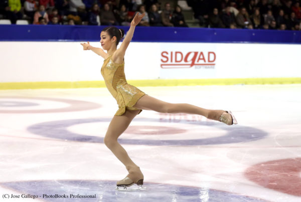 hemeroteca, Hemeroteca, Real Federación Española Deportes de Hielo