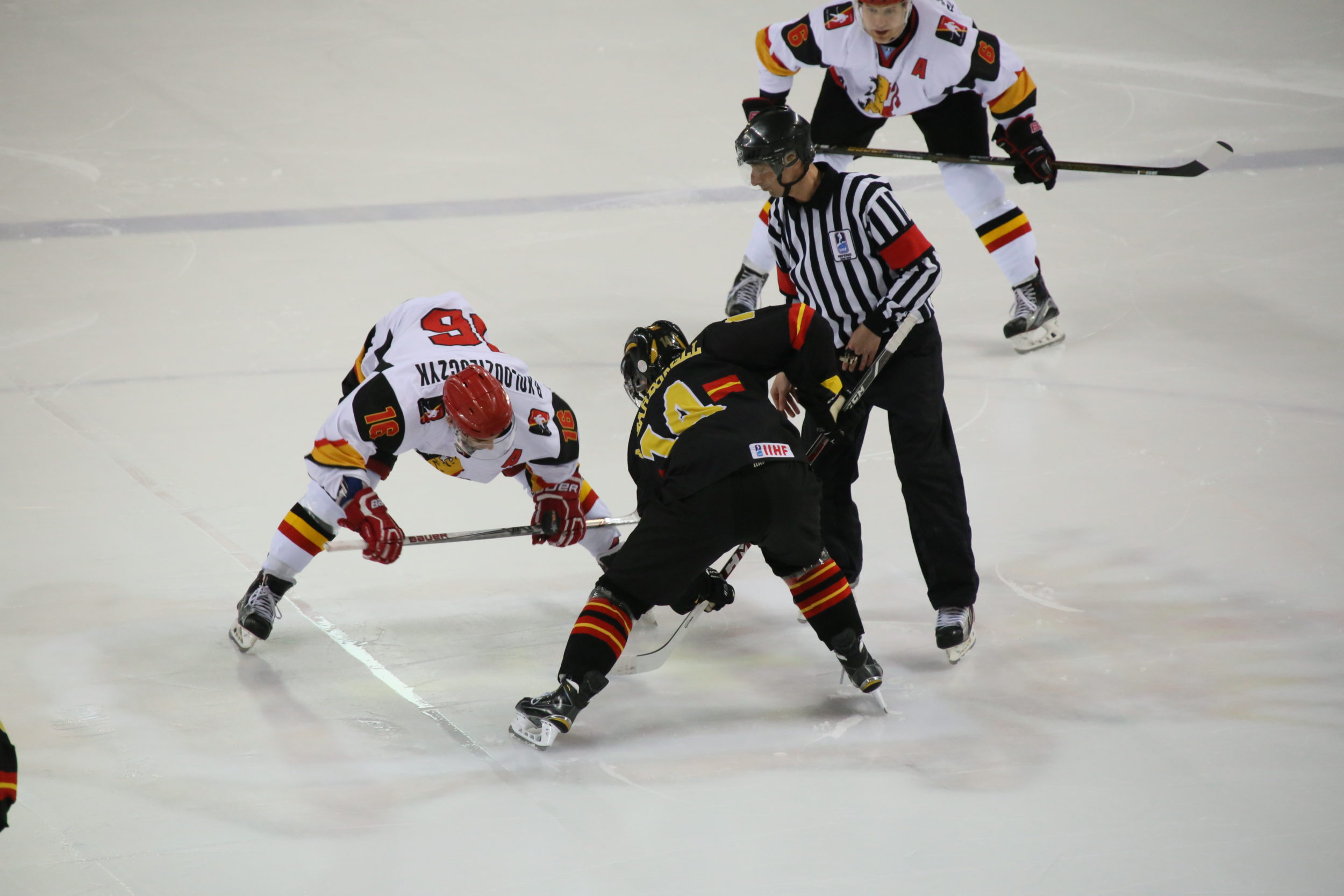 , Logroño calienta motores de cara al mundial U20 de Hockey Hielo, Real Federación Española Deportes de Hielo