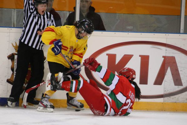 hemeroteca, Hemeroteca, Real Federación Española Deportes de Hielo