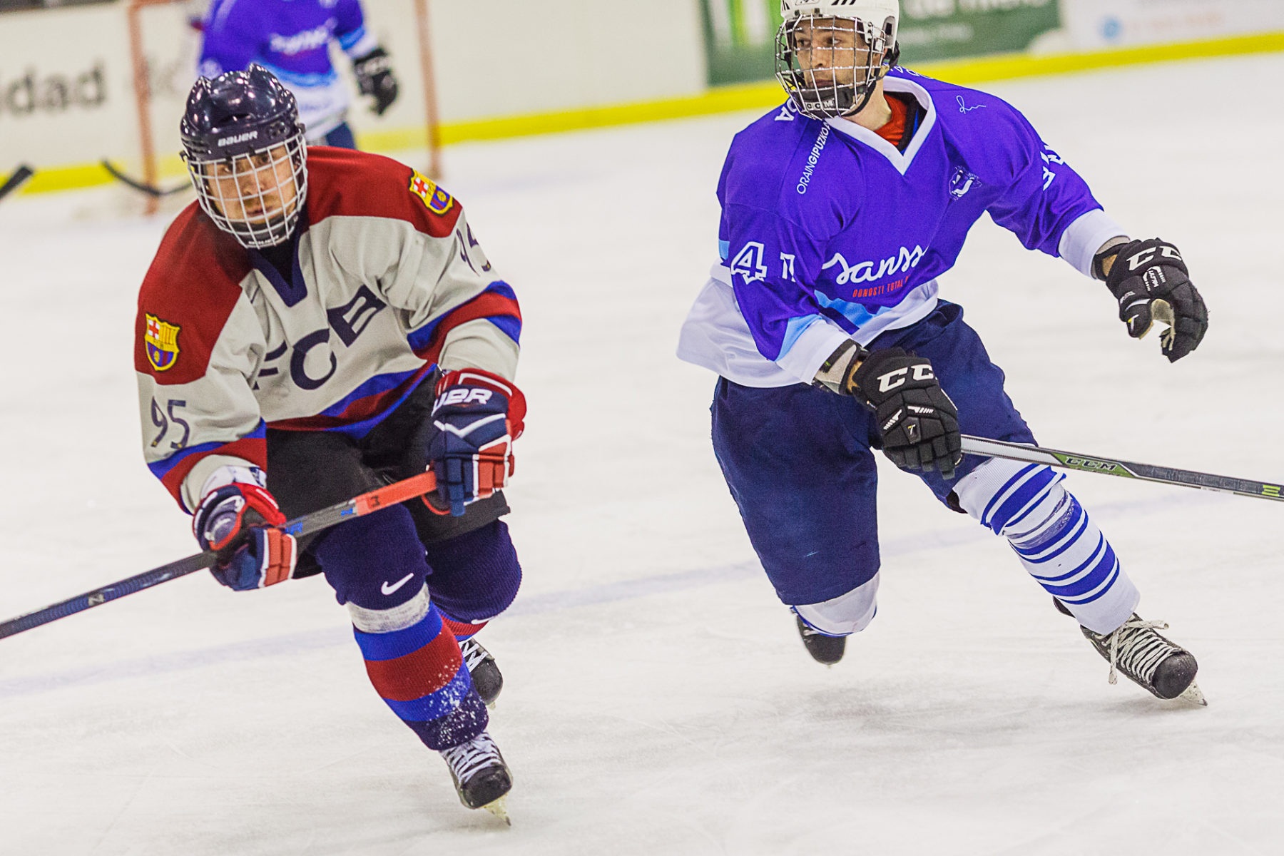 , Jornada decisiva en los play off de la Liga Nacional de Hockey Hielo, Real Federación Española Deportes de Hielo