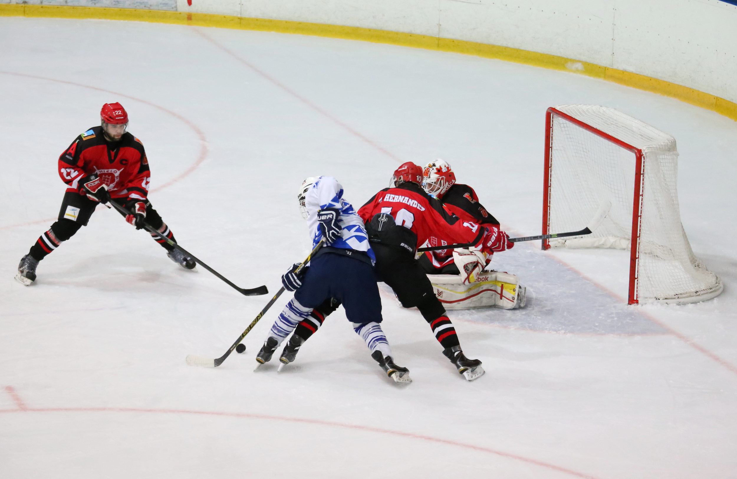 , CHH Txuri Urdin puede conseguir hoy la LNHH 17 años después, Real Federación Española Deportes de Hielo