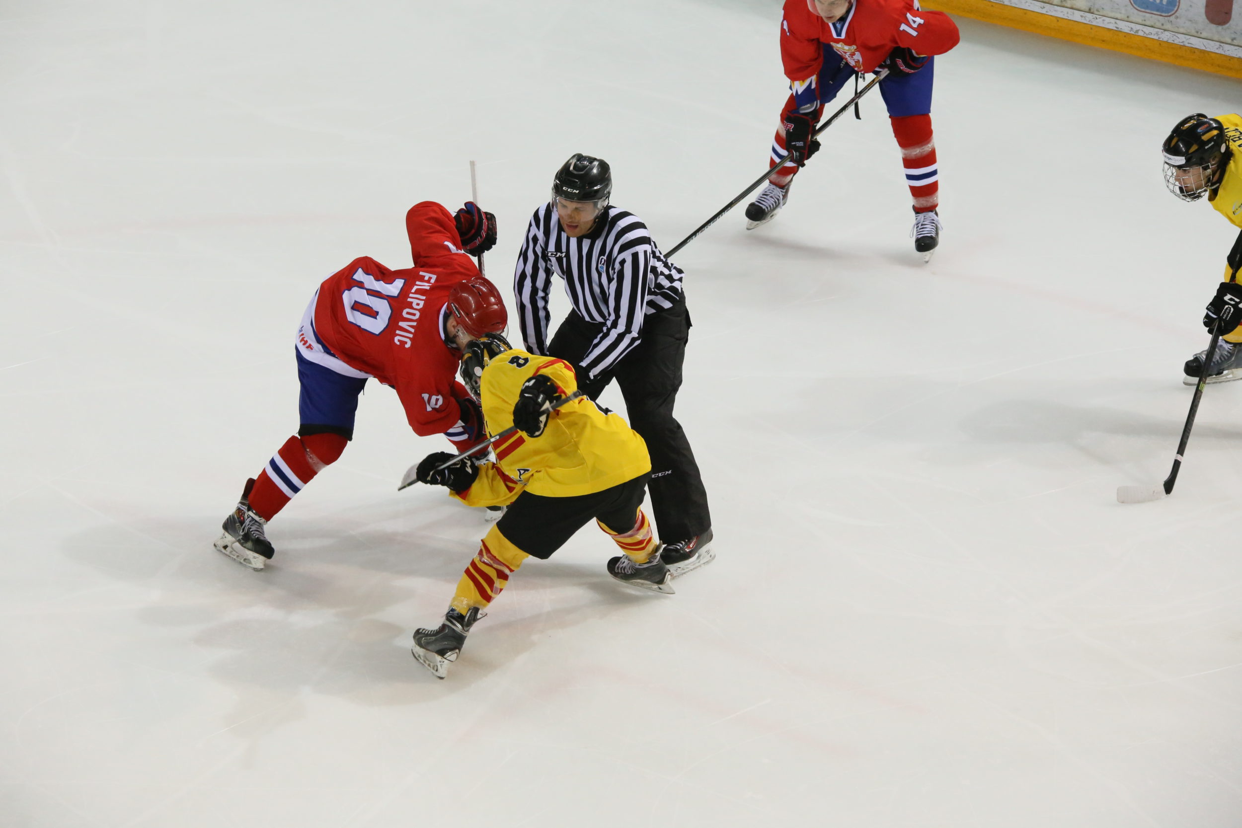 , España vence a Serbia en el mundial absoluto de Hockey Hielo, Real Federación Española Deportes de Hielo