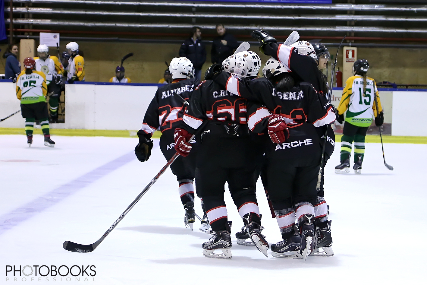 , SAD Majadahonda Gana la Copa de España femenina de Hockey Hielo, Real Federación Española Deportes de Hielo