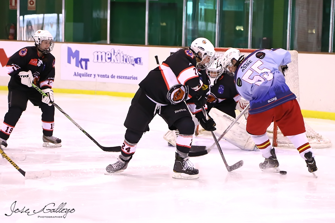 , Majadahonda acogerá este fin de semana la Copa de España Femenina de Hockey Hielo, Real Federación Española Deportes de Hielo