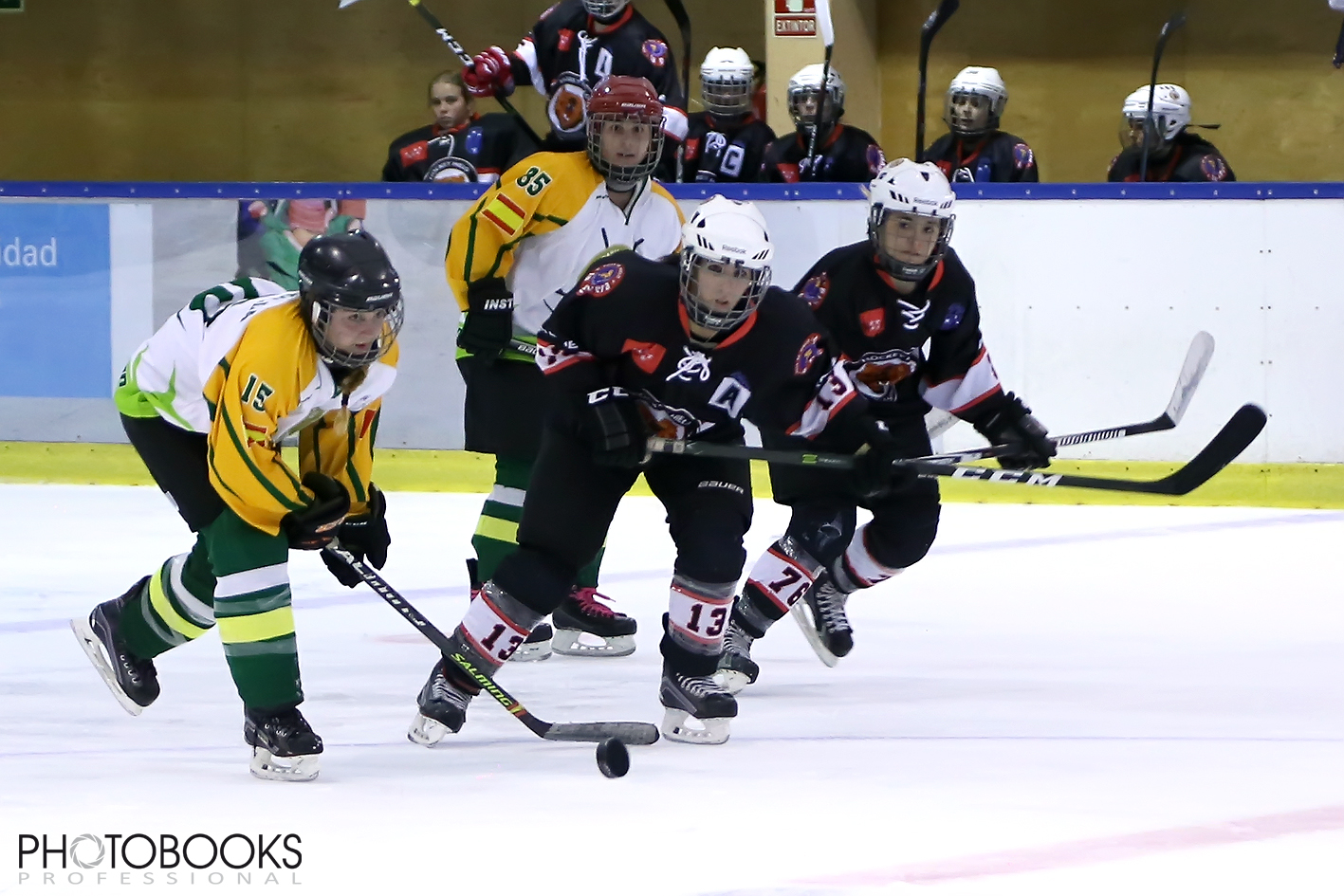 , SAD MAjadahonda y CD Sumendi a la final de la Copa de España femenina, Real Federación Española Deportes de Hielo