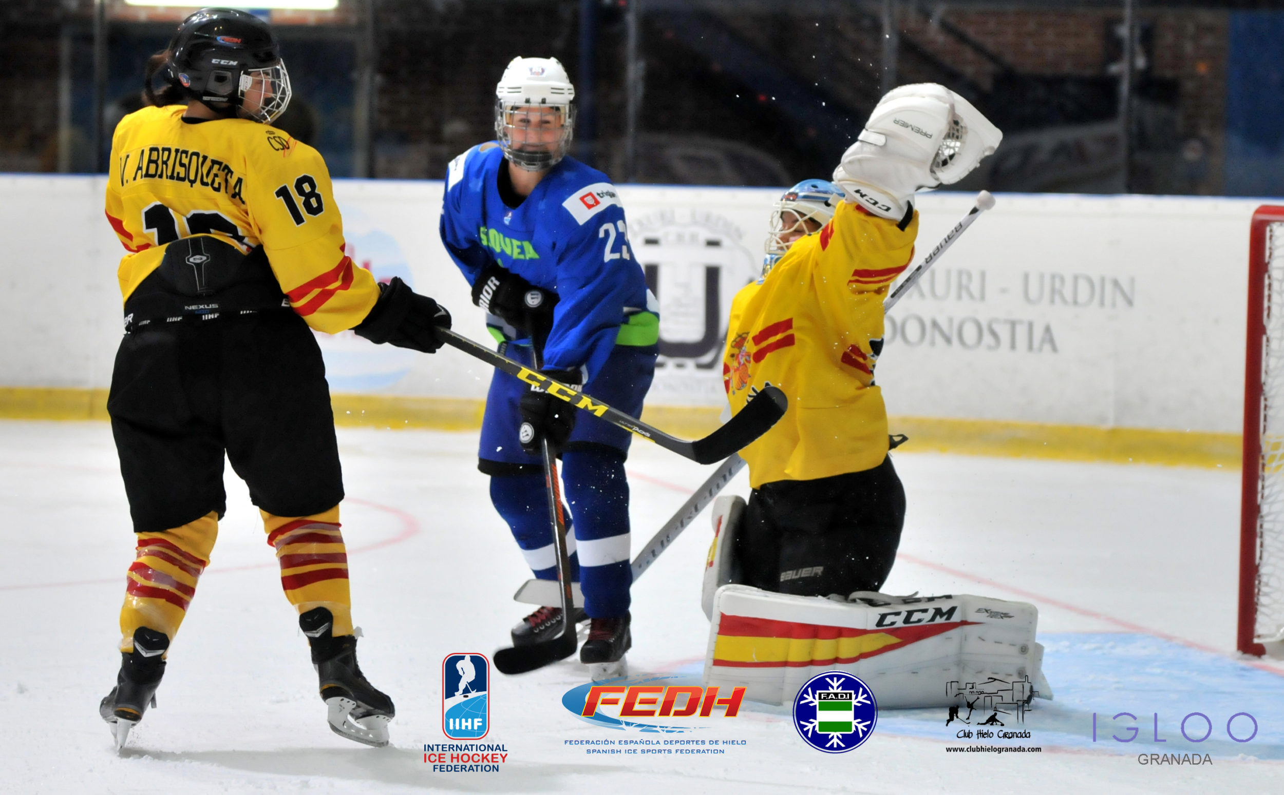 , Celebrado el Campamento Internacional de Desarrollo para Porteras en Granada, Real Federaci&oacute;n Espa&ntilde;ola Deportes de Hielo