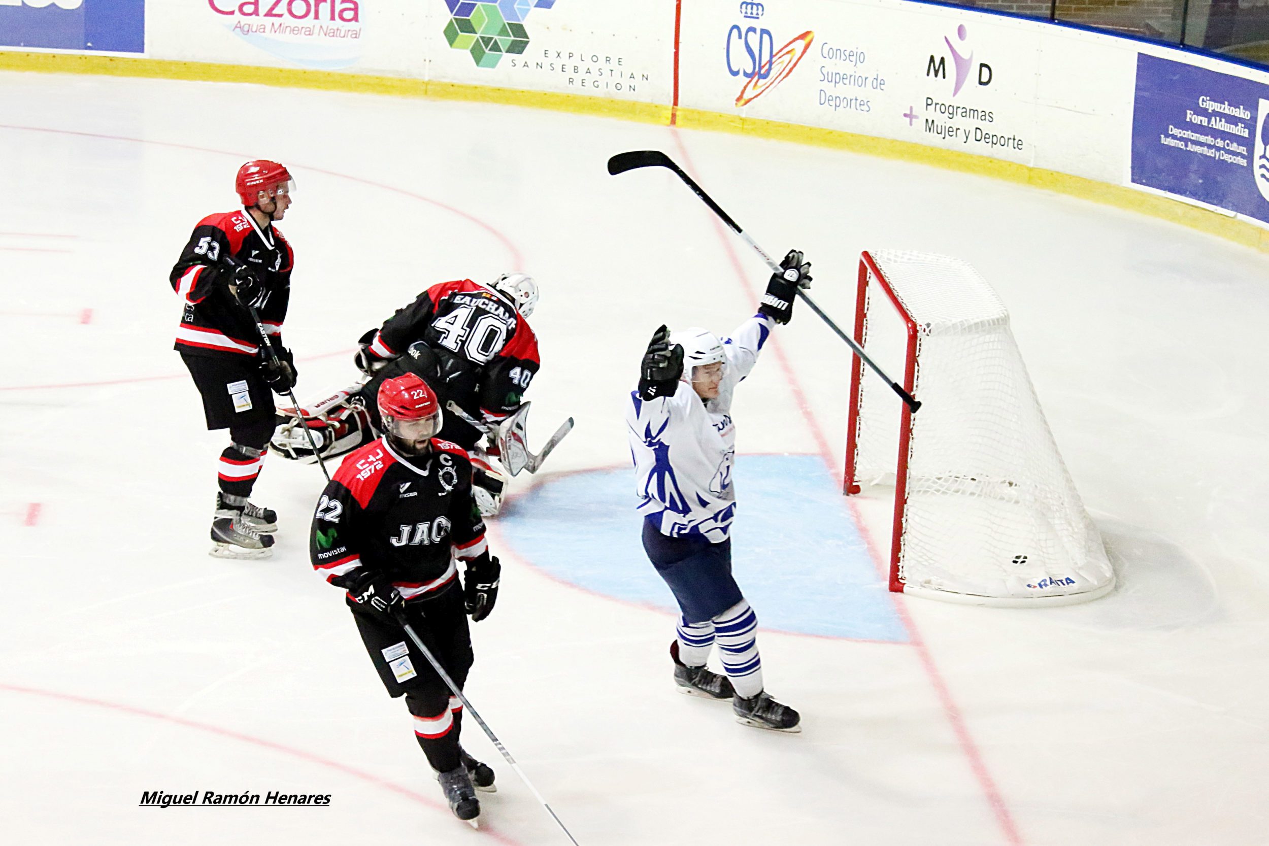 , Lucha por el liderato en la Liga Nacional de Hockey Hielo, Real Federación Española Deportes de Hielo