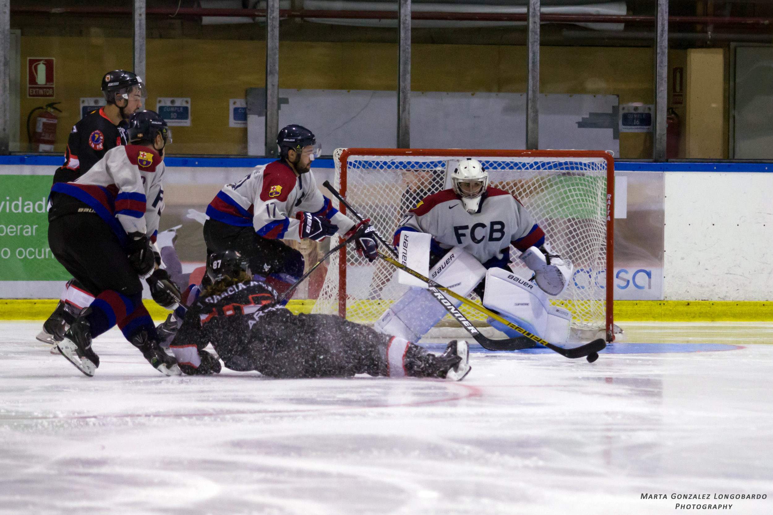 , Comienza la Liga Nacional de Hockey Hielo, Real Federación Española Deportes de Hielo