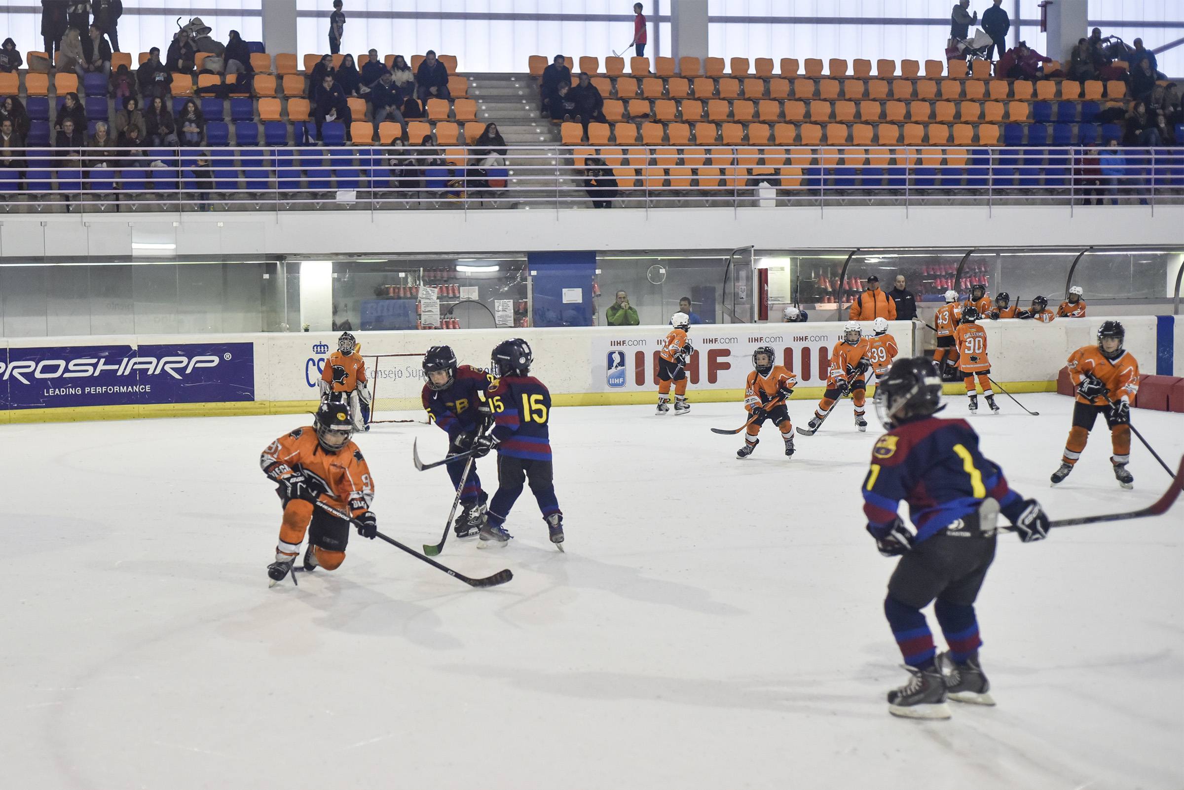 , Turno para el primer Festival U10 de la temporada, Real Federación Española Deportes de Hielo