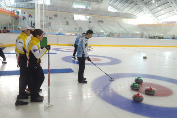 hemeroteca, Hemeroteca, Real Federación Española Deportes de Hielo