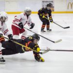 , Torneo 4 Naciones Femenino U18 de Hockey Hielo, Granada 2017, Real Federación Española Deportes de Hielo