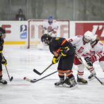 , Torneo 4 Naciones Femenino U18 de Hockey Hielo, Granada 2017, Real Federación Española Deportes de Hielo