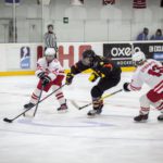 , Torneo 4 Naciones Femenino U18 de Hockey Hielo, Granada 2017, Real Federación Española Deportes de Hielo