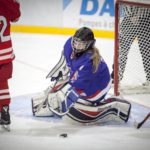 , Torneo 4 Naciones Femenino U18 de Hockey Hielo, Granada 2017, Real Federación Española Deportes de Hielo