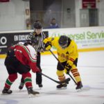 , Torneo 4 Naciones Femenino U18 de Hockey Hielo, Granada 2017, Real Federación Española Deportes de Hielo