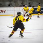 , Torneo 4 Naciones Femenino U18 de Hockey Hielo, Granada 2017, Real Federación Española Deportes de Hielo