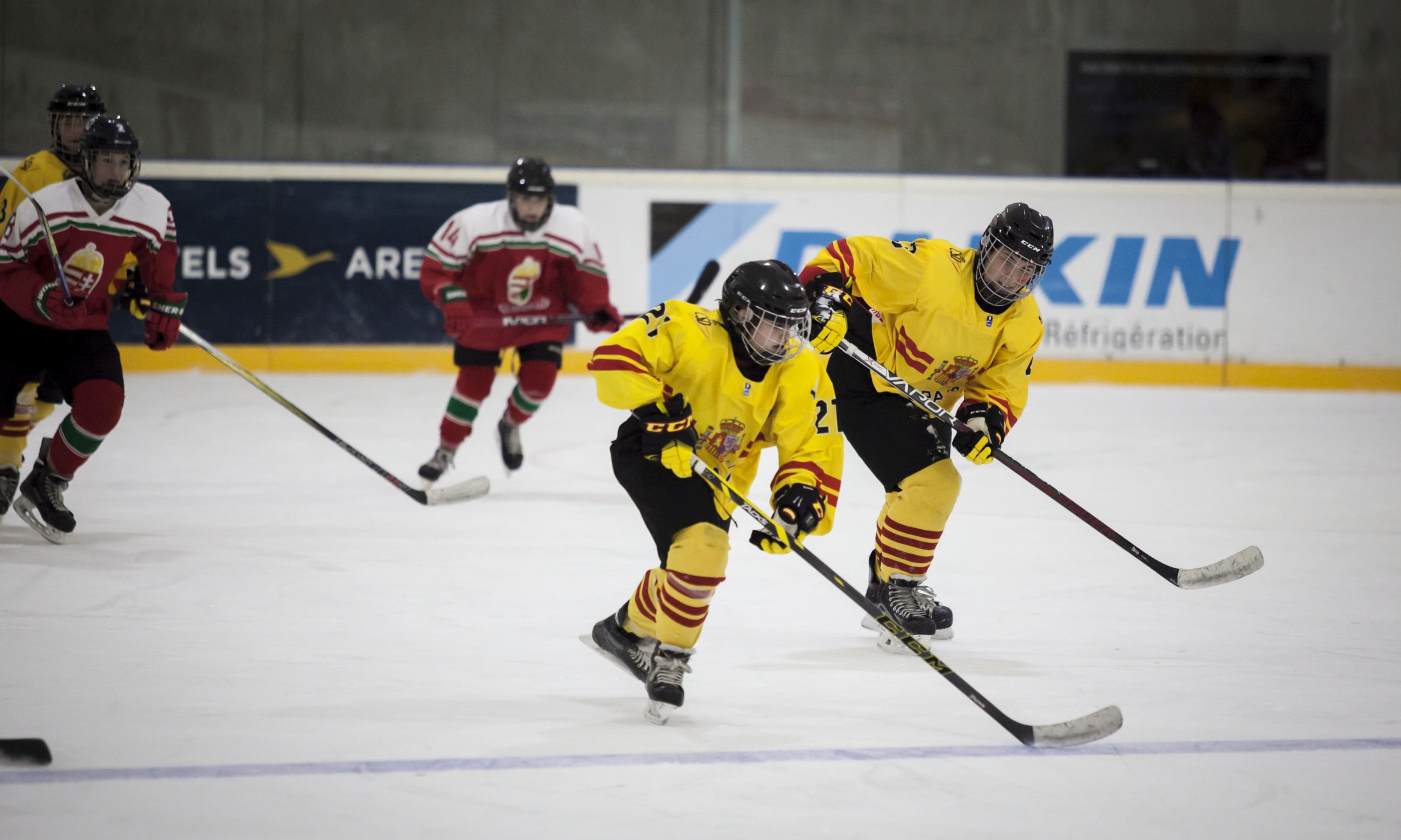 , España se encuentra con el gol pero cae contra Hungría (3-1), Real Federación Española Deportes de Hielo