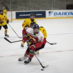 , Torneo 4 Naciones Femenino U18 de Hockey Hielo, Granada 2017, Real Federación Española Deportes de Hielo