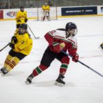 , Torneo 4 Naciones Femenino U18 de Hockey Hielo, Granada 2017, Real Federación Española Deportes de Hielo