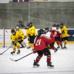 , Torneo 4 Naciones Femenino U18 de Hockey Hielo, Granada 2017, Real Federación Española Deportes de Hielo